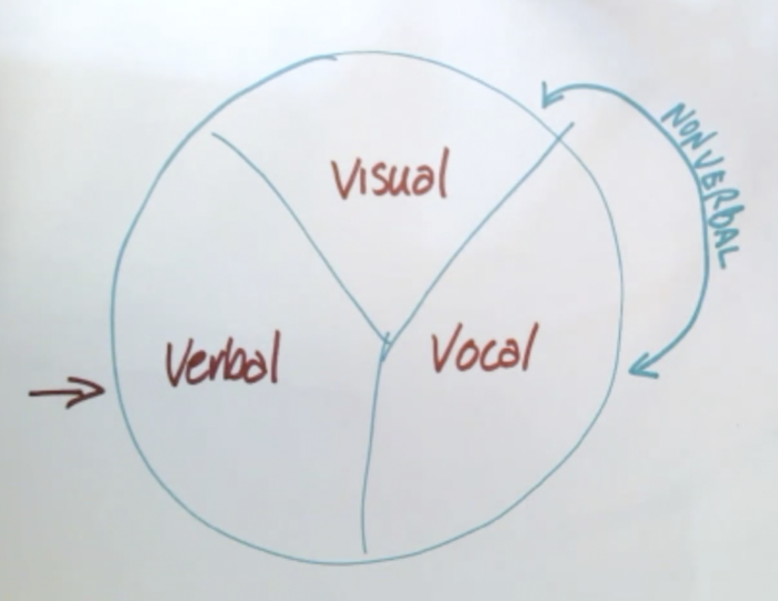What we do is always communicated in 3 ways: visual, vocal, verbal.